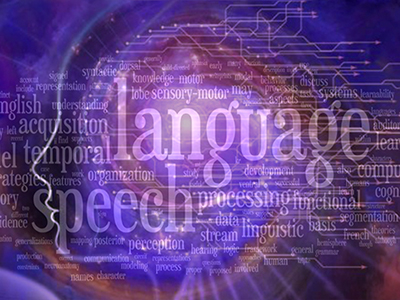 image of varios words related to language